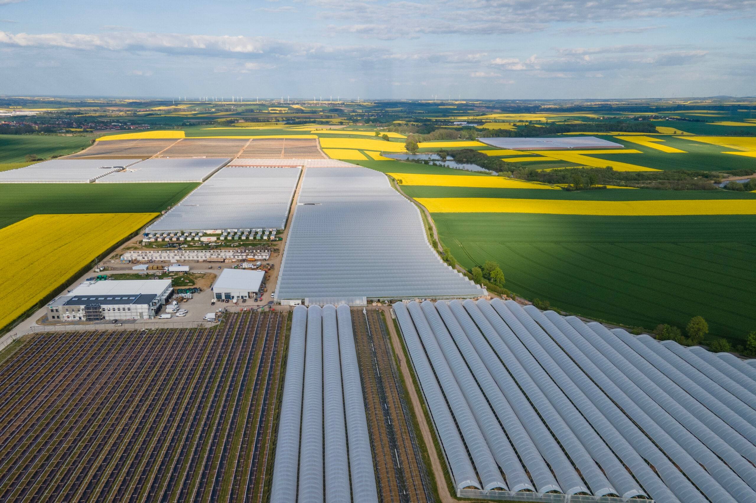 Tunele zblokowane nad plantacją malin z lotu ptaka
