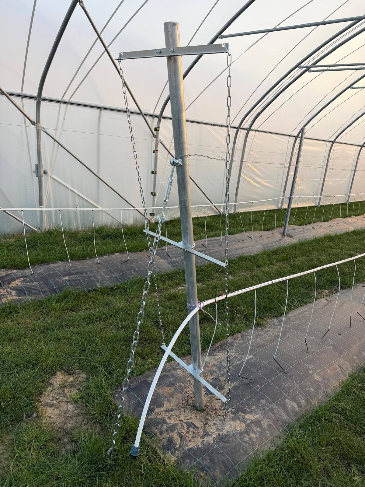 Stalowy słupek systemu podpór z drutami nad zagonem w tunelu foliowym