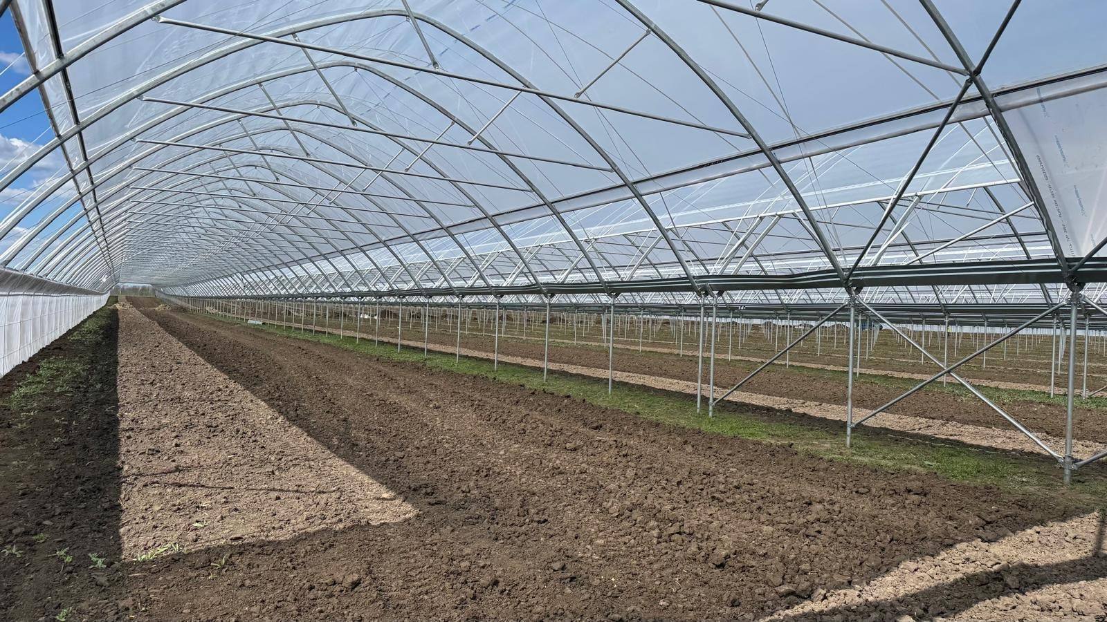 Wnętrze tunelu zblokowanego — rząd nóg i rynna między nawami nad przygotowaną glebą