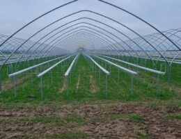 substrate-systeme-www